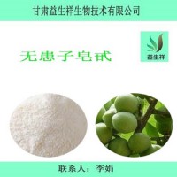 無患子皂甙 無患子提取物 優(yōu)質(zhì)無患子皂苷 一共斤起訂