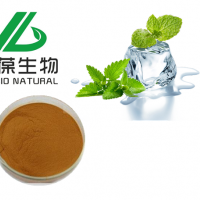 綠茶提取物/粉  20%-98%茶多酚  生產廠家供應