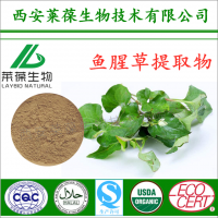 魚腥草提取物,魚腥草粉,魚腥草生產廠家