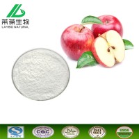 水溶性蘋果醋粉10%固體飲料 廠家包郵 現貨供應