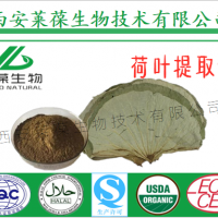 荷葉提取物 荷葉堿 荷葉黃酮 SC廠家供應