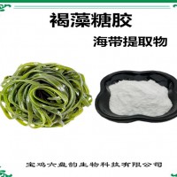 海帶提取物 褐藻糖膠 工廠發貨