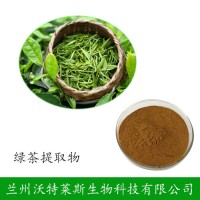 茶多酚98%  綠茶提取物 廠家供應