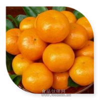 蜜柑粉 蜜柑噴霧干燥粉食品飲料添加劑