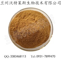 苦丁茶提取物   質量保證  批發價格