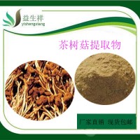 茶樹菇提取物 10:1 益生祥  茶樹菇粉