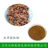 發(fā)酵蟲草菌絲粉 蛾擬青霉菌粉發(fā)酵蟲草菌粉cs-4