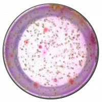 水總大腸菌群/耐熱大腸菌群檢測