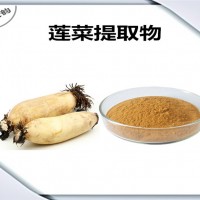 蓮菜提取物 蓮菜粉 果蔬粉