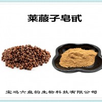 萊菔子提取物 萊菔子皂甙 工廠發貨