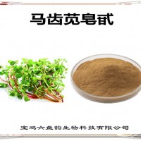 馬齒莧提取物 馬齒莧皂甙 工廠發貨