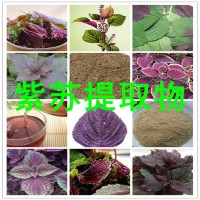 紫蘇浸膏粉廠家生產(chǎn)天然全水溶植物提取物