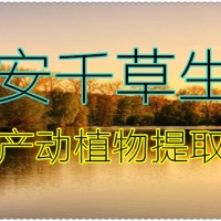 蓮蓬子提取物 廠家供應植物提取物 定做流浸膏