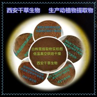 水桐樹提取物廠家供應各類植物提取物粉 定做濃縮浸膏