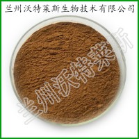 假葉樹根提取物10；1 20:1多種規格
