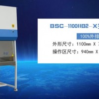 CMA檢驗報告生物安全柜生產廠家