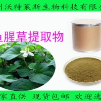 魚腥草粉99% 魚腥草提取物  現貨包郵