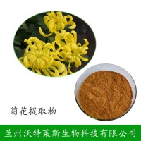 野菊花提取物 10:1比例 菊花黃銅 菊花提取液