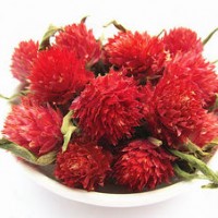 紅巧梅提取物 廠家按需定制天然濃縮粉 定做浸膏