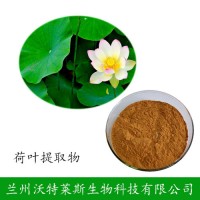 荷葉堿 5%含量 荷葉提取物 荷葉堿粉原料多規格