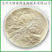 地龍蛋白90% 蚯蚓蛋白 地龍蛋白肽