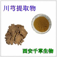 川芎提取物易溶天然濃縮烘焙干燥性味濃郁 廠家供應馬銜浸膏