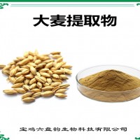大麥提取物 大麥粉 食品原料 可定制生產