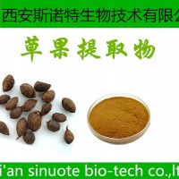 草果提取物 20:1 廠家現貨 包郵 可試樣