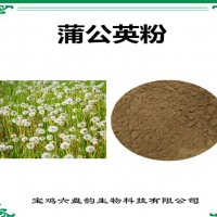 蒲公英速溶粉 蒲公英粉 廠家發貨