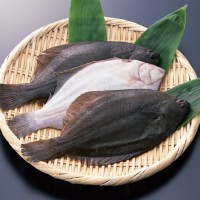 比目魚檢測報告,比目魚抗生素檢測機構,比目魚營養檢測項目