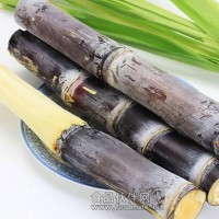 甘蔗檢測農藥殘留,甘蔗營養成分檢測報告