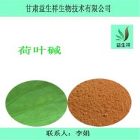荷葉堿4%  荷葉提取物 水溶  荷葉粉原料