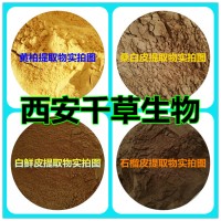 棕櫚葉提取物 棕櫚葉純浸膏 廠家生產定制棕櫚葉濃縮水溶粉