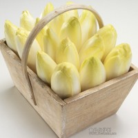 菊苣重金屬檢測項目,菊苣農(nóng)藥殘留檢測報告