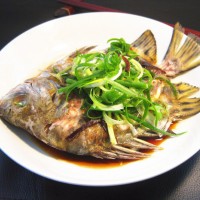 金鼓魚檢測報告,金鼓魚抗生素檢測機構,金鼓魚營養檢測項目