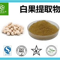 白果提取物 銀杏果提取物 專業植提廠家現貨 量大批發
