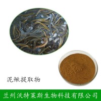 泥鰍提取物 魚鰍提取物 泥鰍粉 魚鰍提取液 泥鰍多肽
