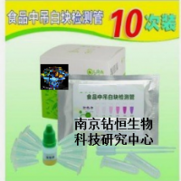 吊白塊檢測管
