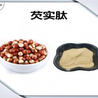 芡實提取物 芡實肽 廠家發貨