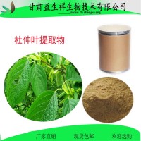 杜仲提取物 綠原酸 杜仲綠原酸 水溶杜仲粉 杜仲雄花提取物