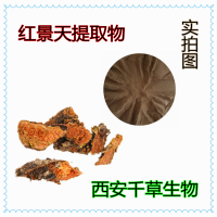 紅景天水溶粉 廠家生產(chǎn)植物提取物定做濃縮浸膏