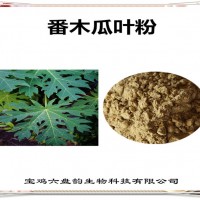 番木瓜葉濃縮粉 番木瓜葉粉 生產廠家