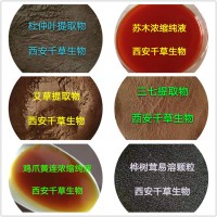 蜜蜂花提取物 廠家生產(chǎn)各類植物提取物定做濃縮浸膏