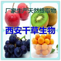 花生米提取物花生米純浸膏 廠家生產定制花生米濃縮水溶粉