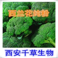 西蘭花提取物天然西蘭花濃縮汁粉 廠家生產(chǎn)西蘭花萃取液