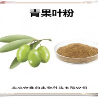 青果葉濃縮粉 青果葉粉 生產廠家