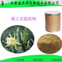 霸王花提取物 10:1 劍花 火龍果花 植物提取物