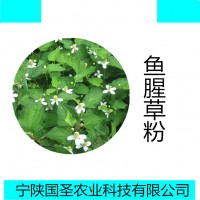 魚腥草粉寧陜國圣代加工廠家包郵魚腥草提取物