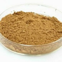 沙棘提取物、沙棘黃酮40%種植基地原料現貨包郵