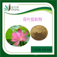 荷葉提取物10:1 荷葉黃酮 荷葉堿